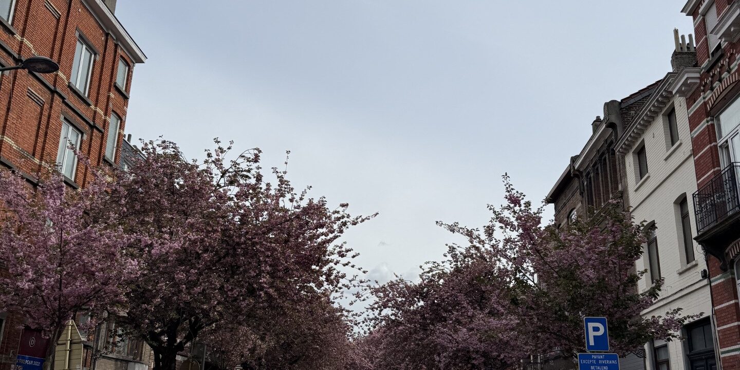 45966560-d637-4ecd-a0d6-0f1873073993