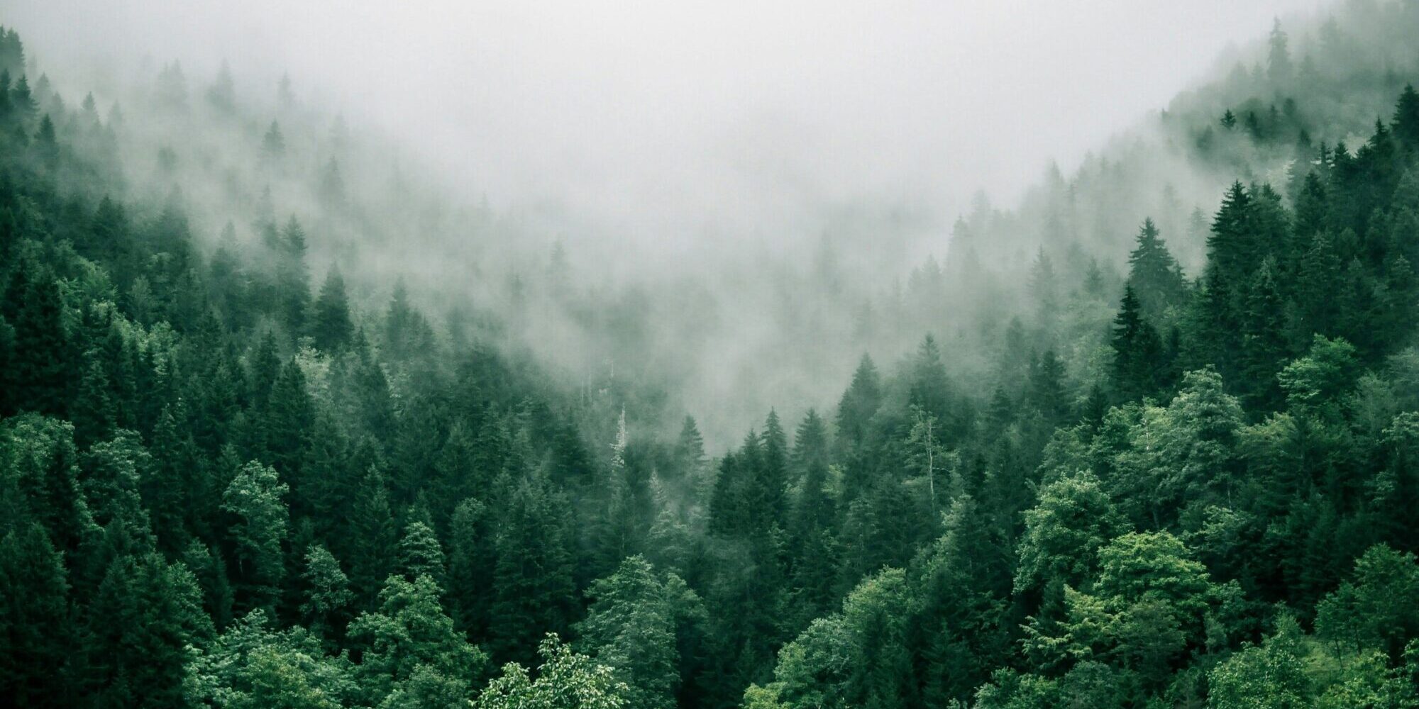 Europakommisjonen foreslår nye klimamål for 2040